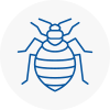 Bed Bug Extermination In Leek